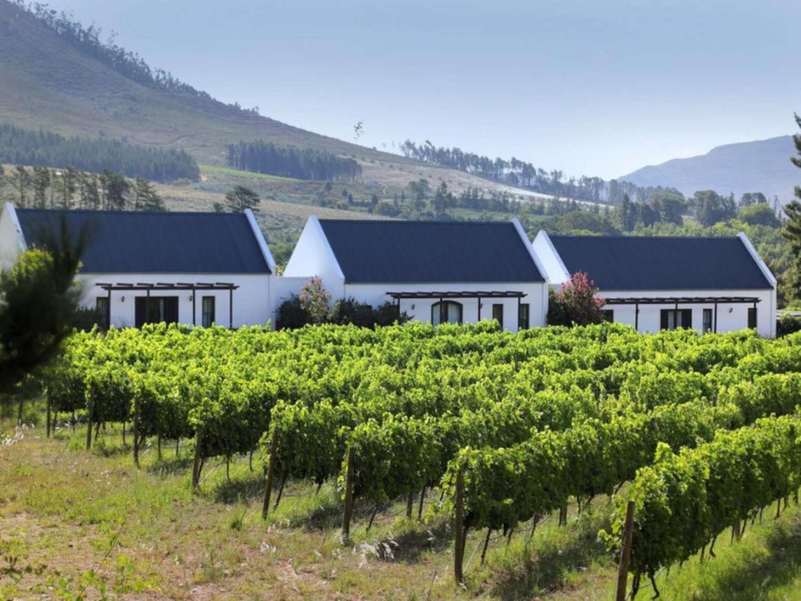 Chambray Estate - The Terraces In The Vines Bed & Breakfast Franschhoek Ngoại thất bức ảnh