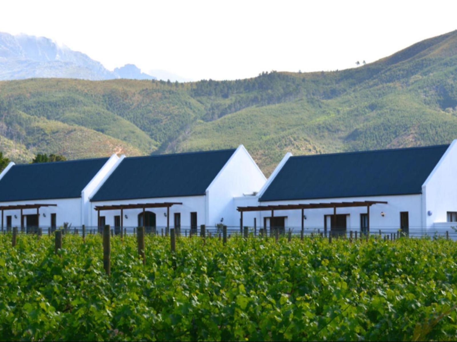 Chambray Estate - The Terraces In The Vines Bed & Breakfast Franschhoek Ngoại thất bức ảnh