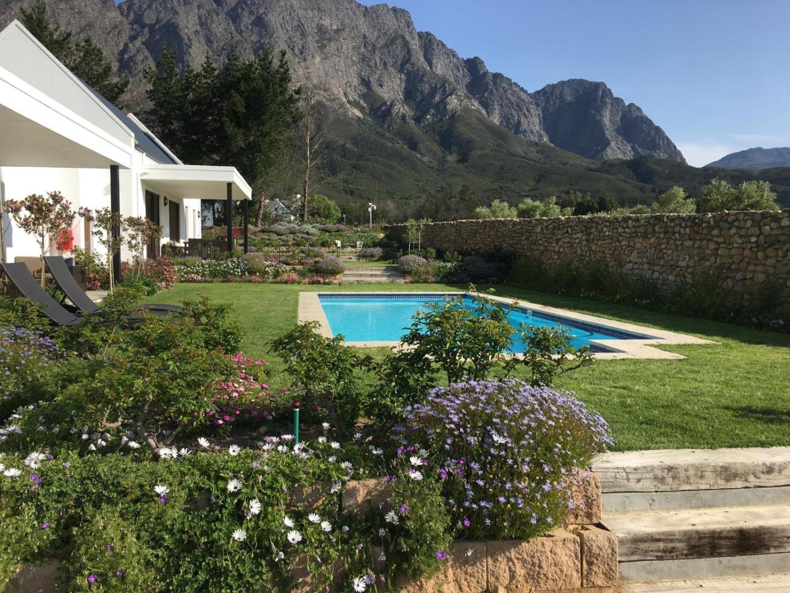 Chambray Estate - The Terraces In The Vines Bed & Breakfast Franschhoek Ngoại thất bức ảnh