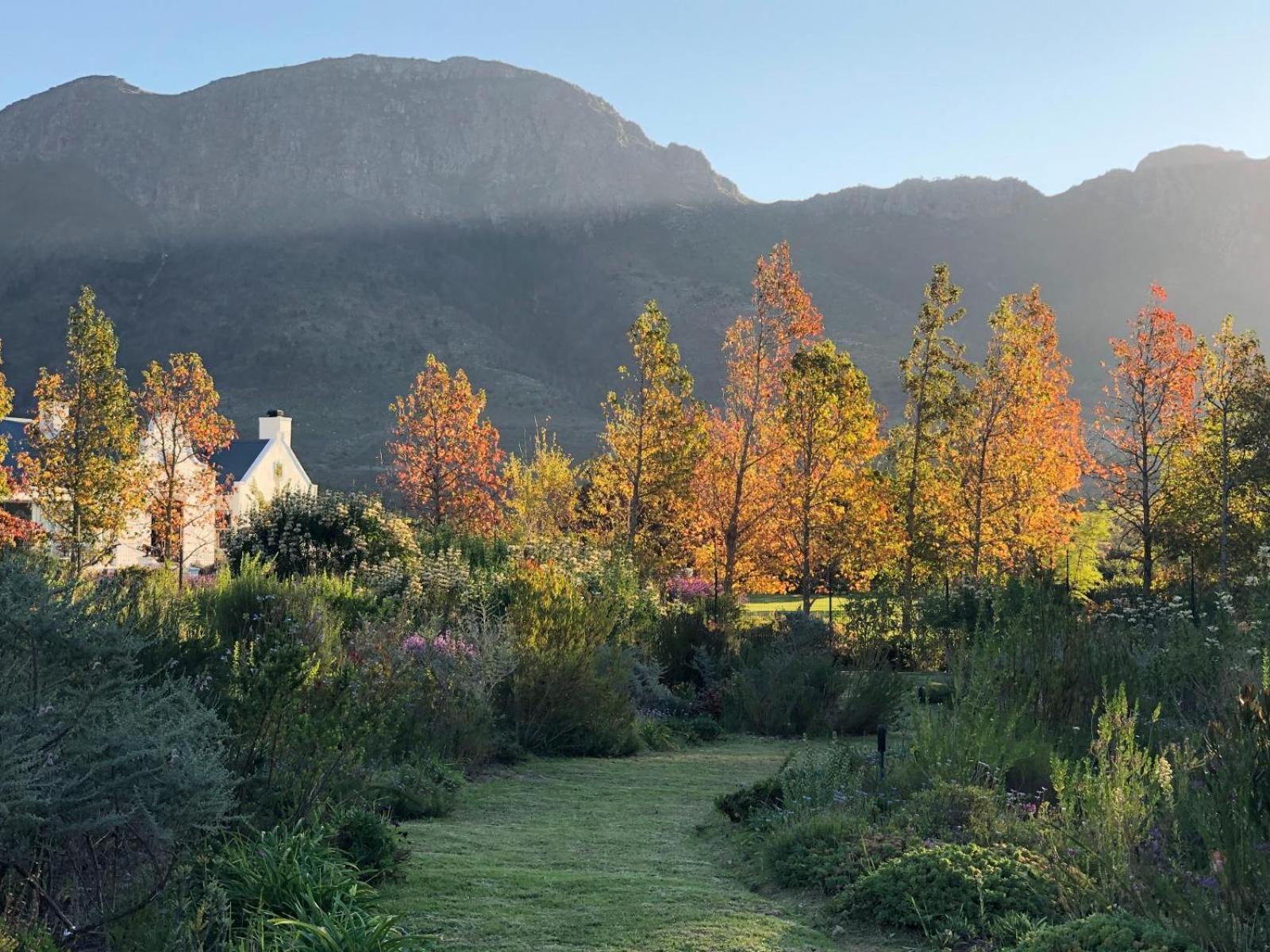 Chambray Estate - The Terraces In The Vines Bed & Breakfast Franschhoek Ngoại thất bức ảnh