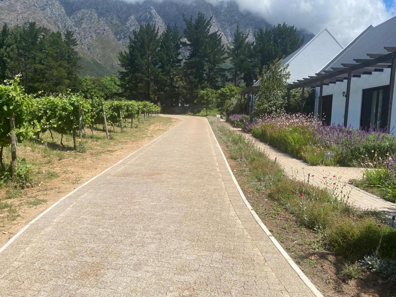 Chambray Estate - The Terraces In The Vines Bed & Breakfast Franschhoek Ngoại thất bức ảnh
